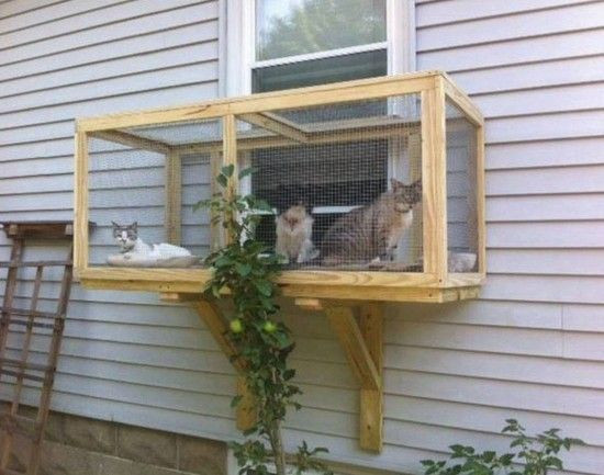 DIY Cat Window Box
 Screened Cat Porches The Best Ideas Plus Video Tutorial