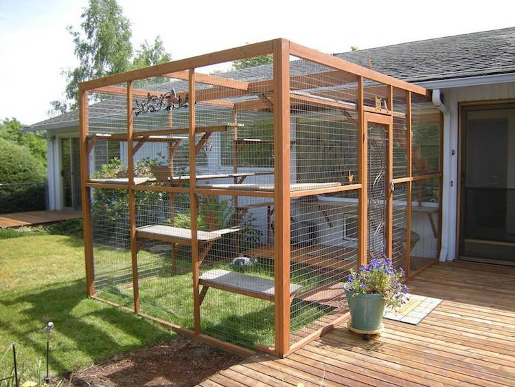 DIY Catio Plans
 Cat Owners are Building Catio Spaces for Their Favorite