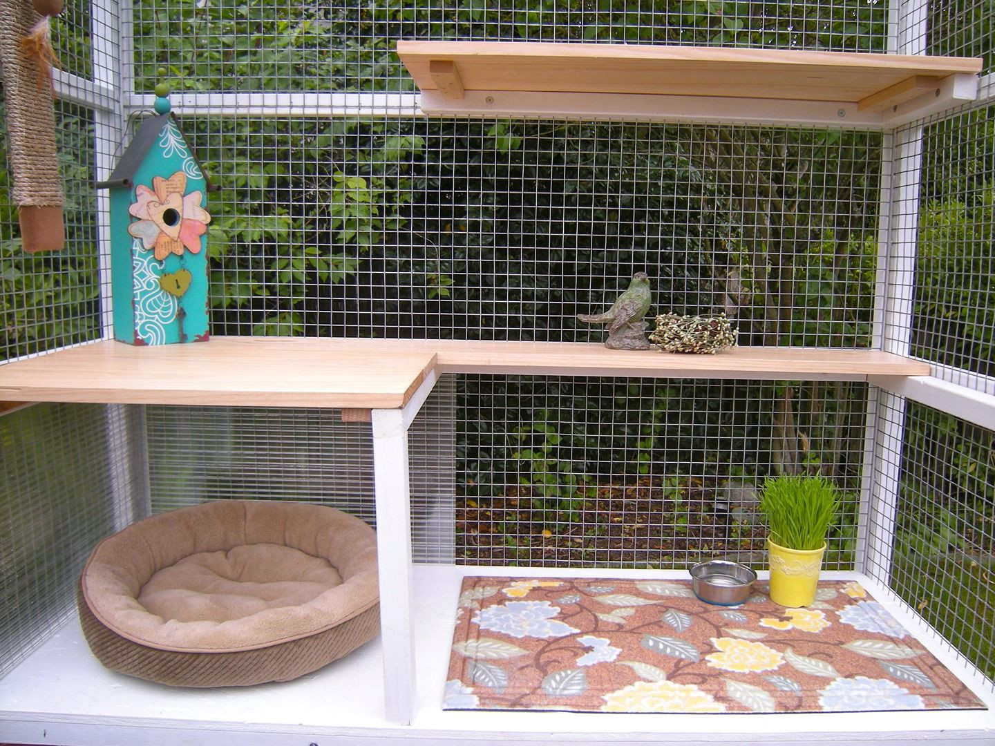 DIY Catio Plans
 Catio Spaces Diy Catio Plans And Cat Enclosures