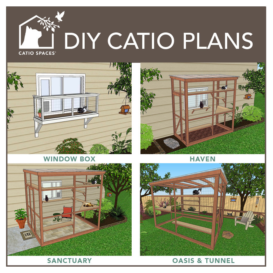 DIY Catio Plans
 Melissa s Mochas Mysteries and Meows Life Is Purrfect In