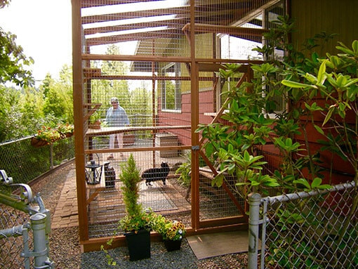 DIY Catio Plans
 DIY Catio Plan The Sanctuary™ Catio Plans with 6x8 and