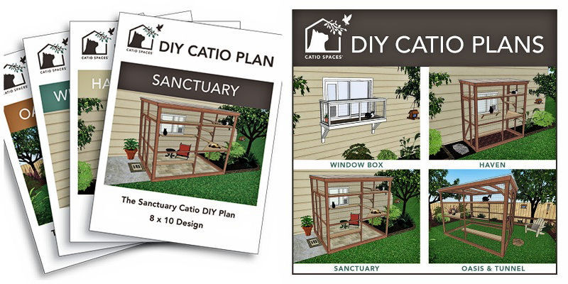 DIY Catio Plans
 You Could WIN a DIY Catio Plan The Purrington Post