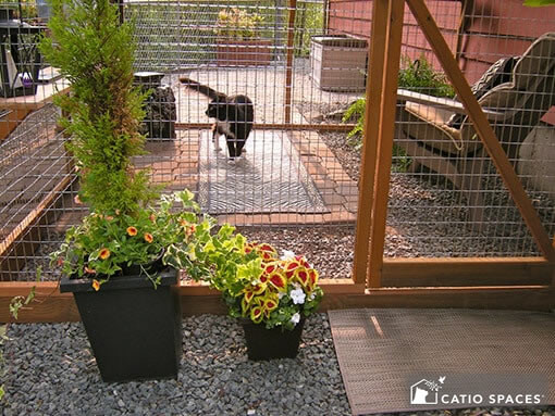 DIY Catio Plans
 DIY Catio Plan The Sanctuary™ Catio Plans with 6x8 and