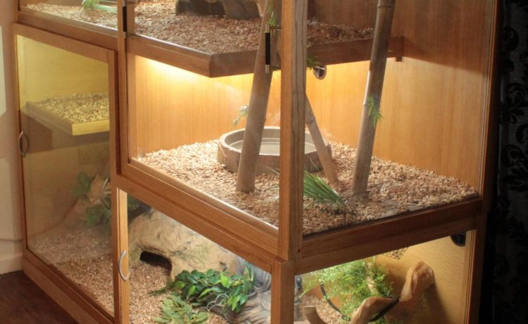 DIY Chameleon Cage Plans
 Top 25 Diy Chameleon Cage Plans Home Family Style and
