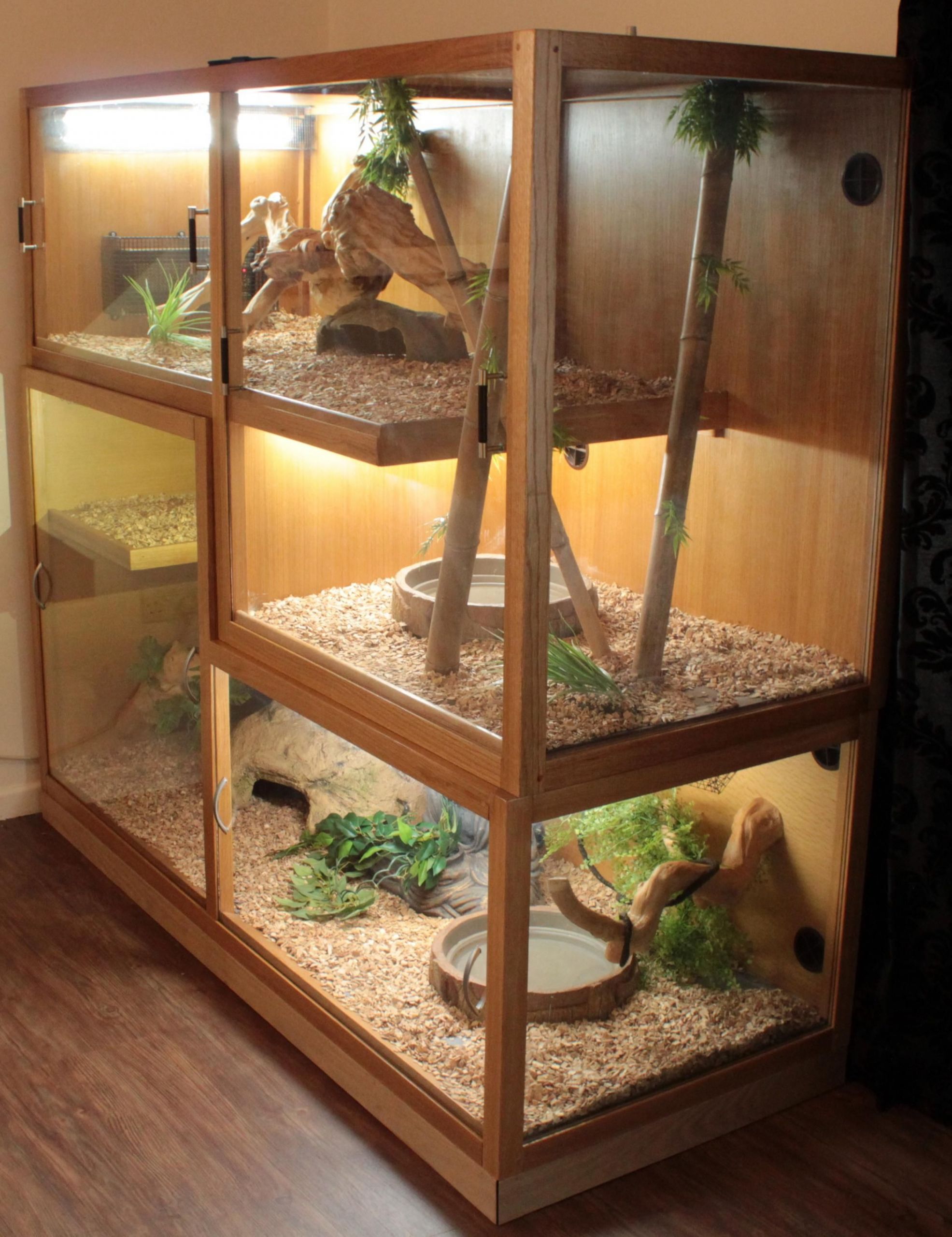 DIY Chameleon Cage Plans
 25 Awesome Diy Reptile Enclosure Meowlogy