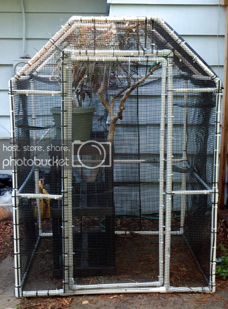 DIY Chameleon Cage Plans
 Pvc Cage Plans