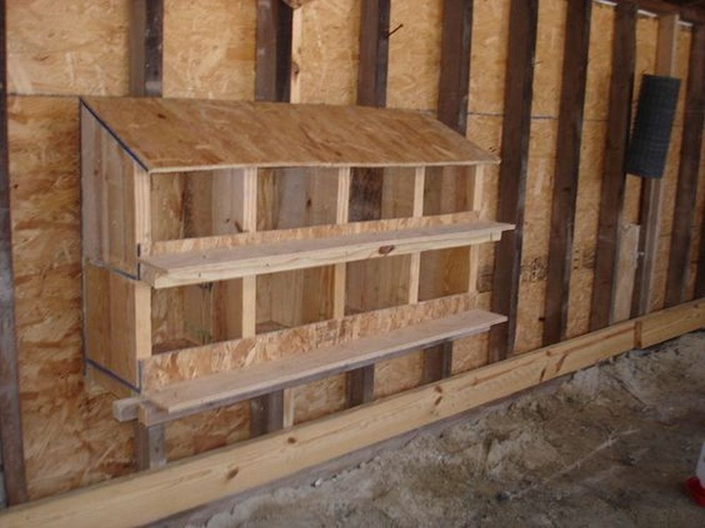 DIY Chicken Nest Box
 Build Your Own Chicken Nesting Box – Your Projects OBN