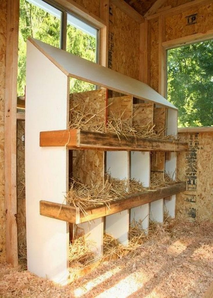 DIY Chicken Nest Box
 Build Your Own Chicken Nesting Box – Your Projects OBN
