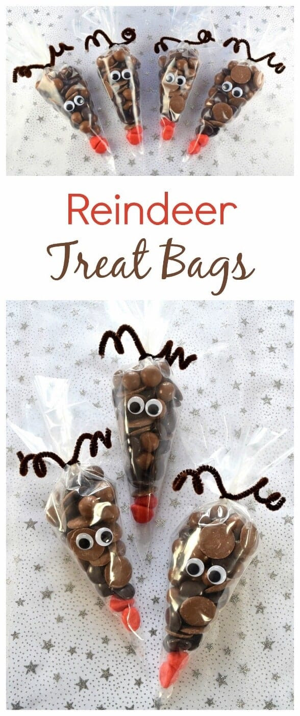 DIY Christmas Gifts For Family
 Fun Christmas Food Reindeer Treat Bags