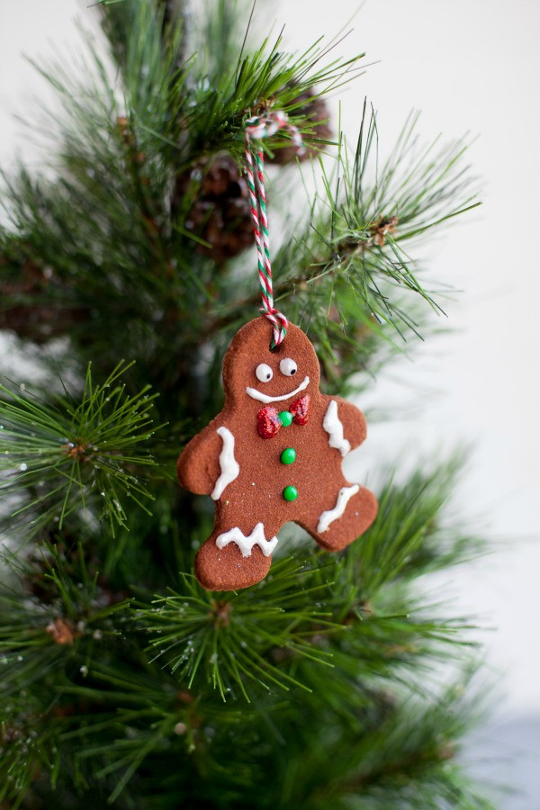 DIY Christmas Ornaments With Pictures
 DIY Christmas Ornaments 100 Days of Homemade Holiday