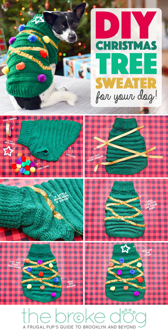 DIY Christmas Tree Sweater
 DIY Christmas Tree Sweater For Your Dog The Broke Dog