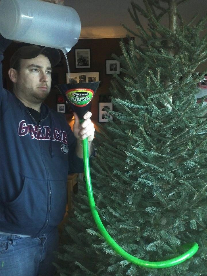 DIY Christmas Tree Watering System
 5 Weird & Easy Ways to Water Your Christmas Tree