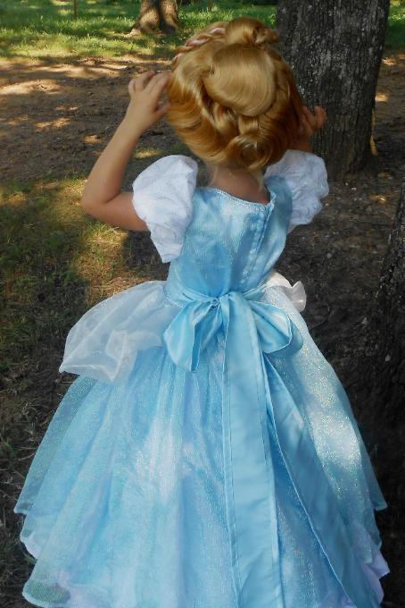 DIY Cinderella Costume For Adults
 WeHaveCostumes Quality Handmade Deluxe Princess Cinderella