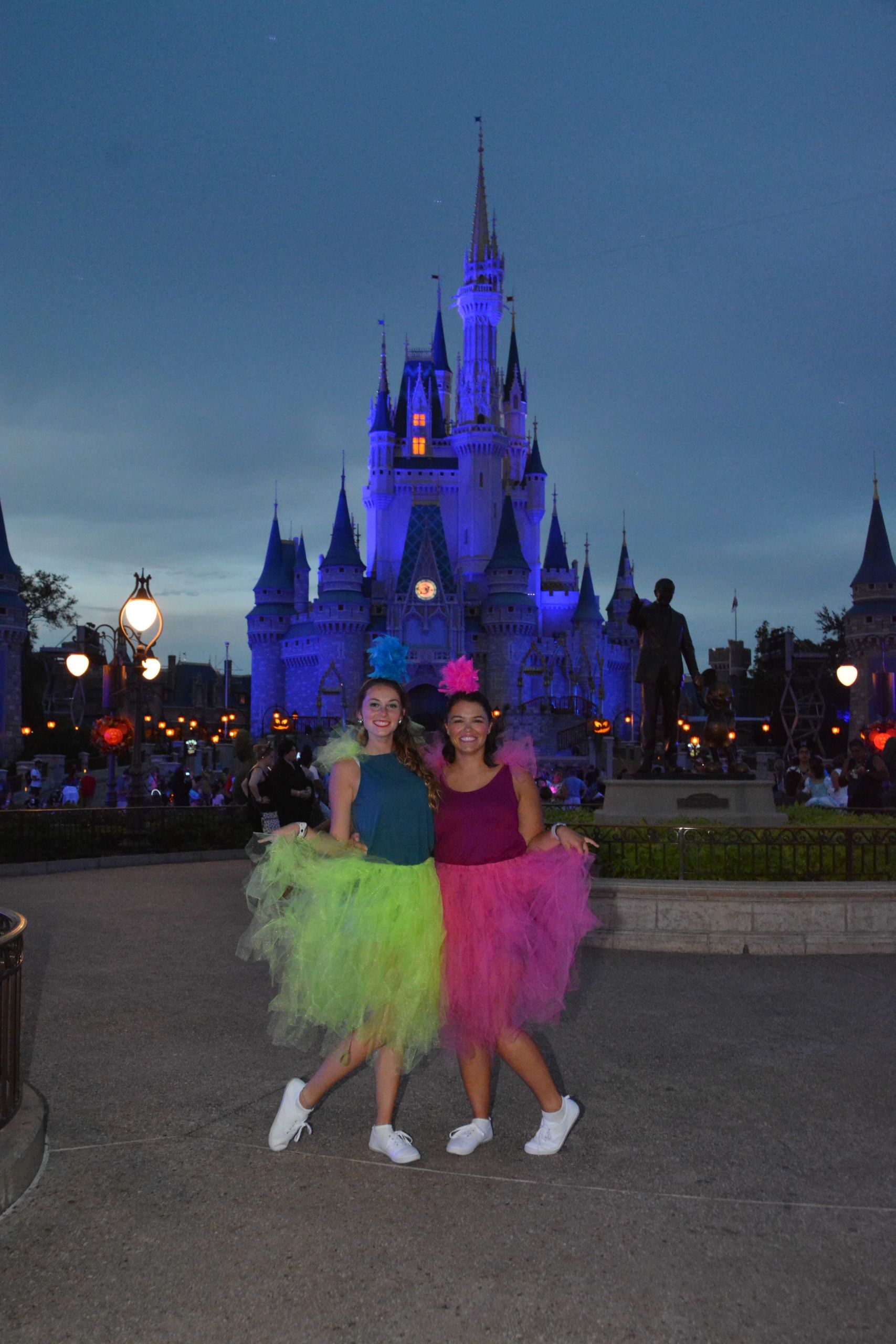 DIY Cinderella Costume For Adults
 diy disney costume adults cinderella stepsisters