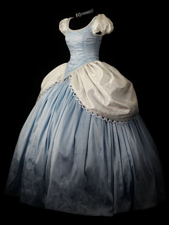 DIY Cinderella Costume For Adults
 Adult Silk Cinderella Costume Custom Made