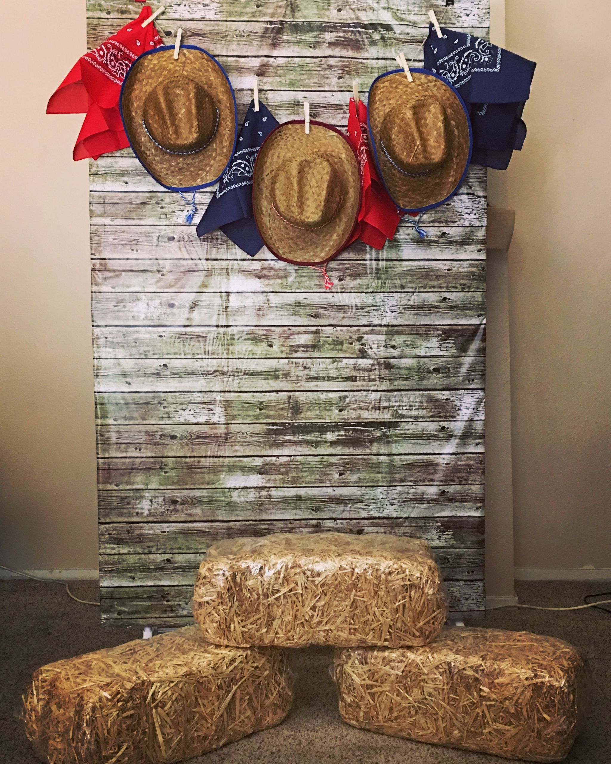 DIY Cowboy Party Decorations
 DIY backdrop out of a clothes rack and clamps
