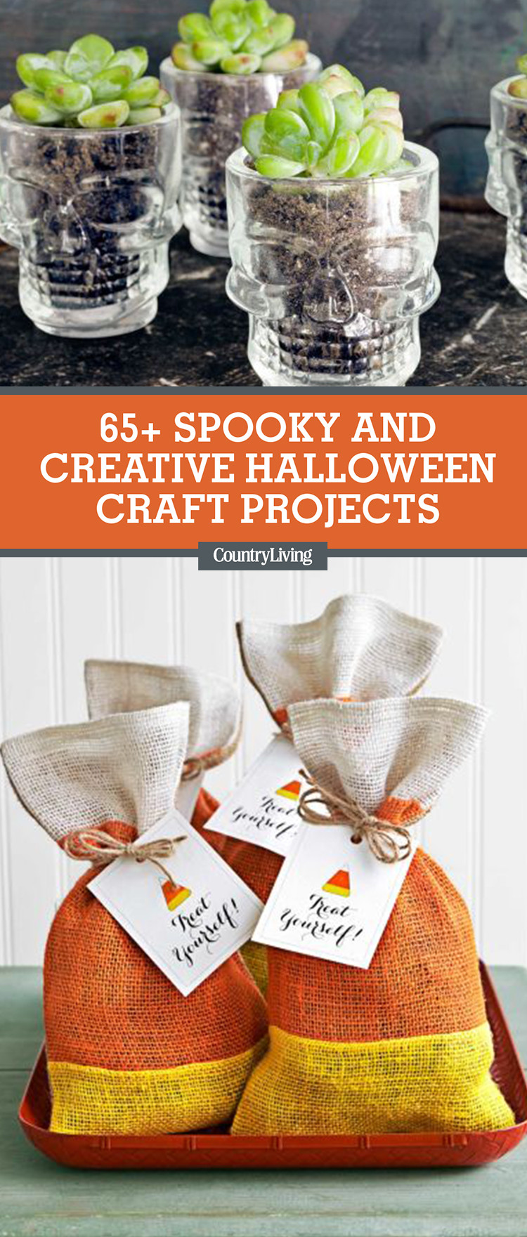 DIY Craft Projects For Adults
 66 Easy Halloween Craft Ideas Halloween DIY Craft