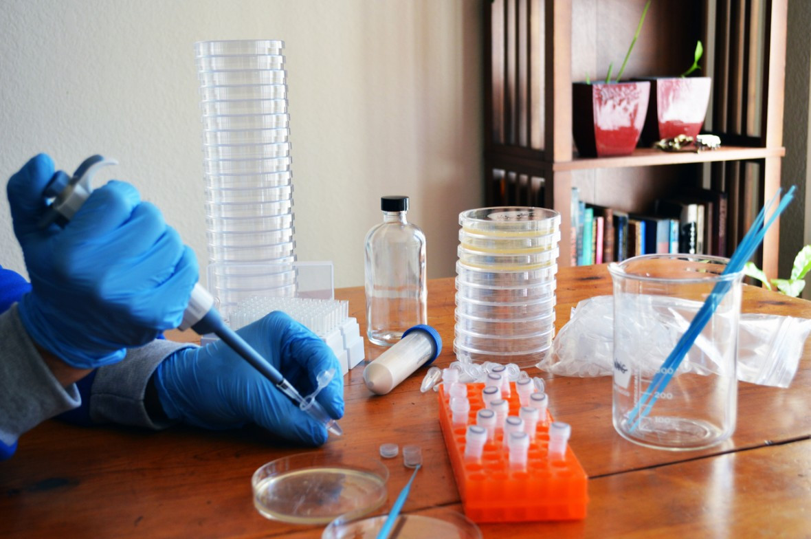DIY Crispr Kit
 Biohackers Disregard FDA Warning on DIY Gene Therapy MIT