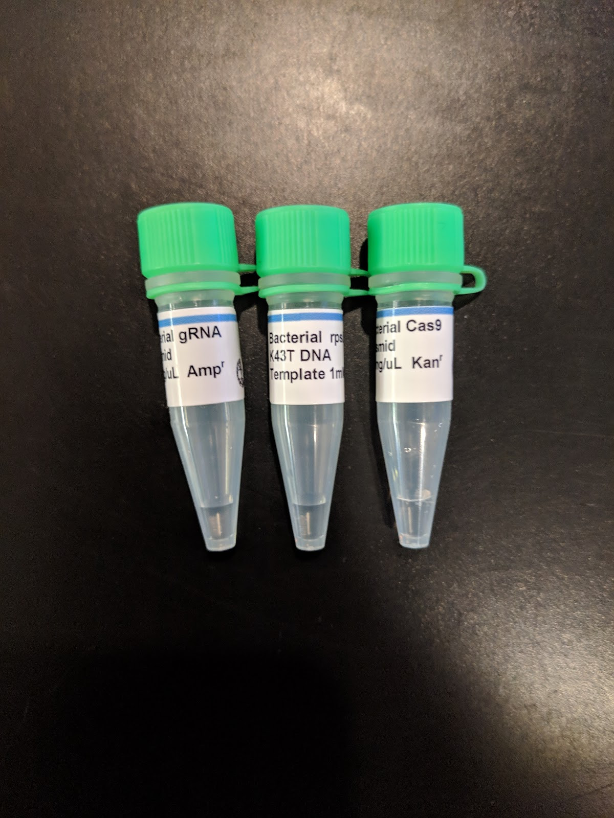 DIY Crispr Kit
 DIY Bacterial Gene Engineering CRISPR Kit – The ODIN