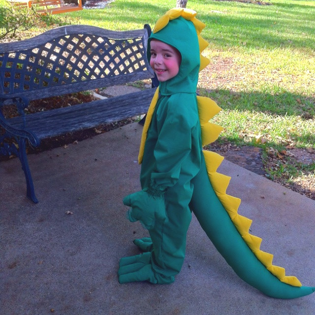 DIY Dinosaur Costume For Adults
 197 best Dinosaurs images on Pinterest