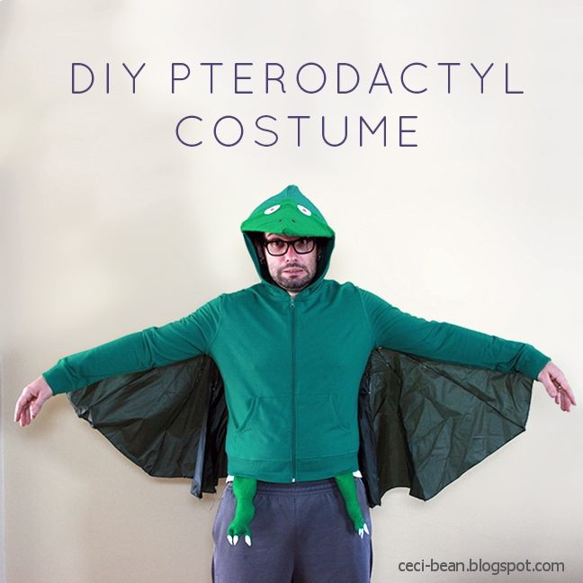 DIY Dinosaur Costume For Adults
 CeciBean Last minute costume Dinosaurs