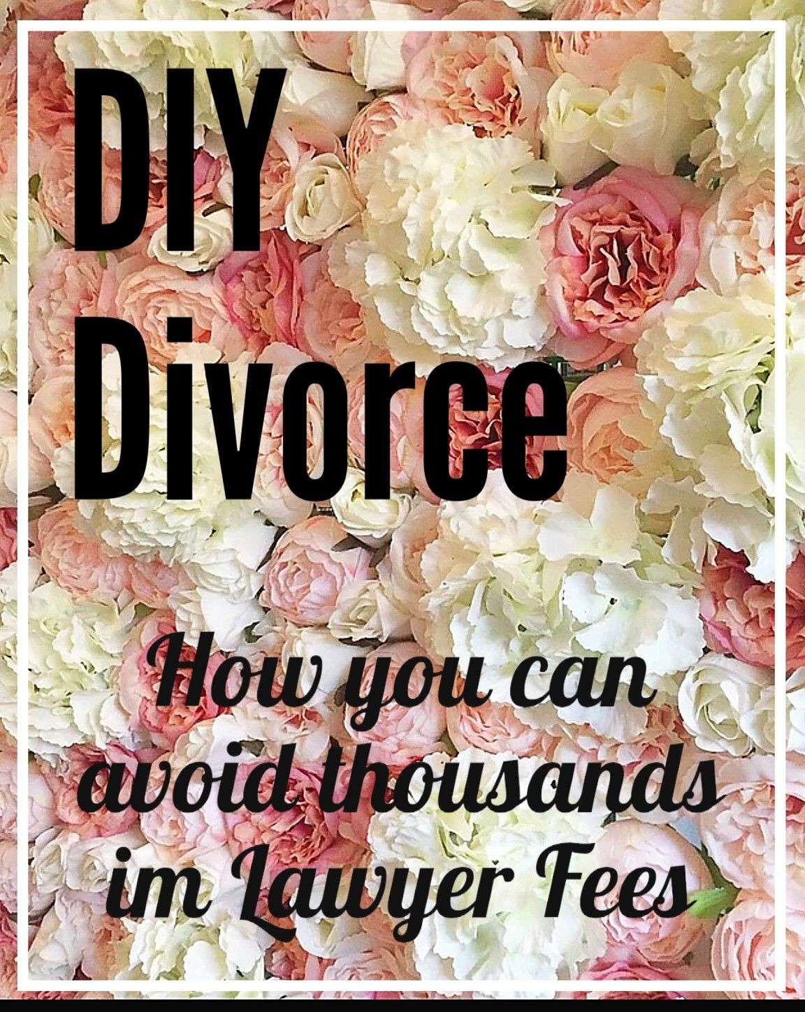 DIY Divorce Kit
 DIY divorce