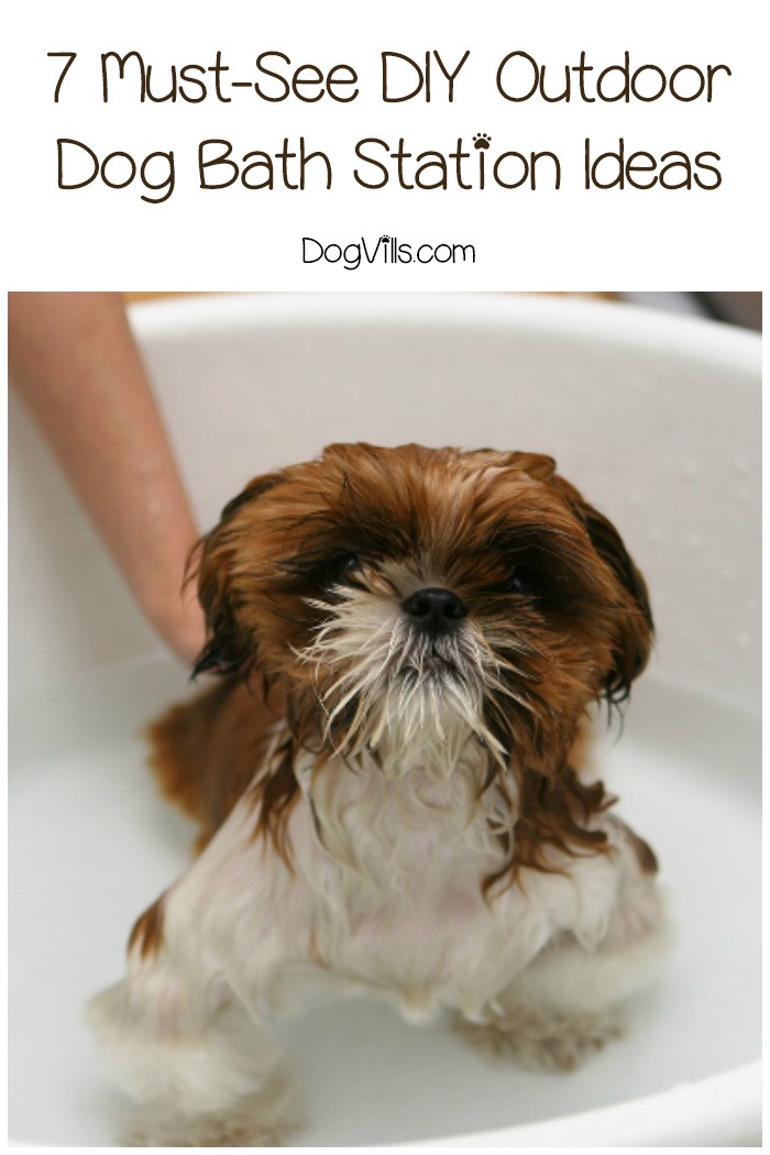 DIY Dog Bath Station
 7 Must See DIY Outdoor Dog Bath Station Ideas DogVills