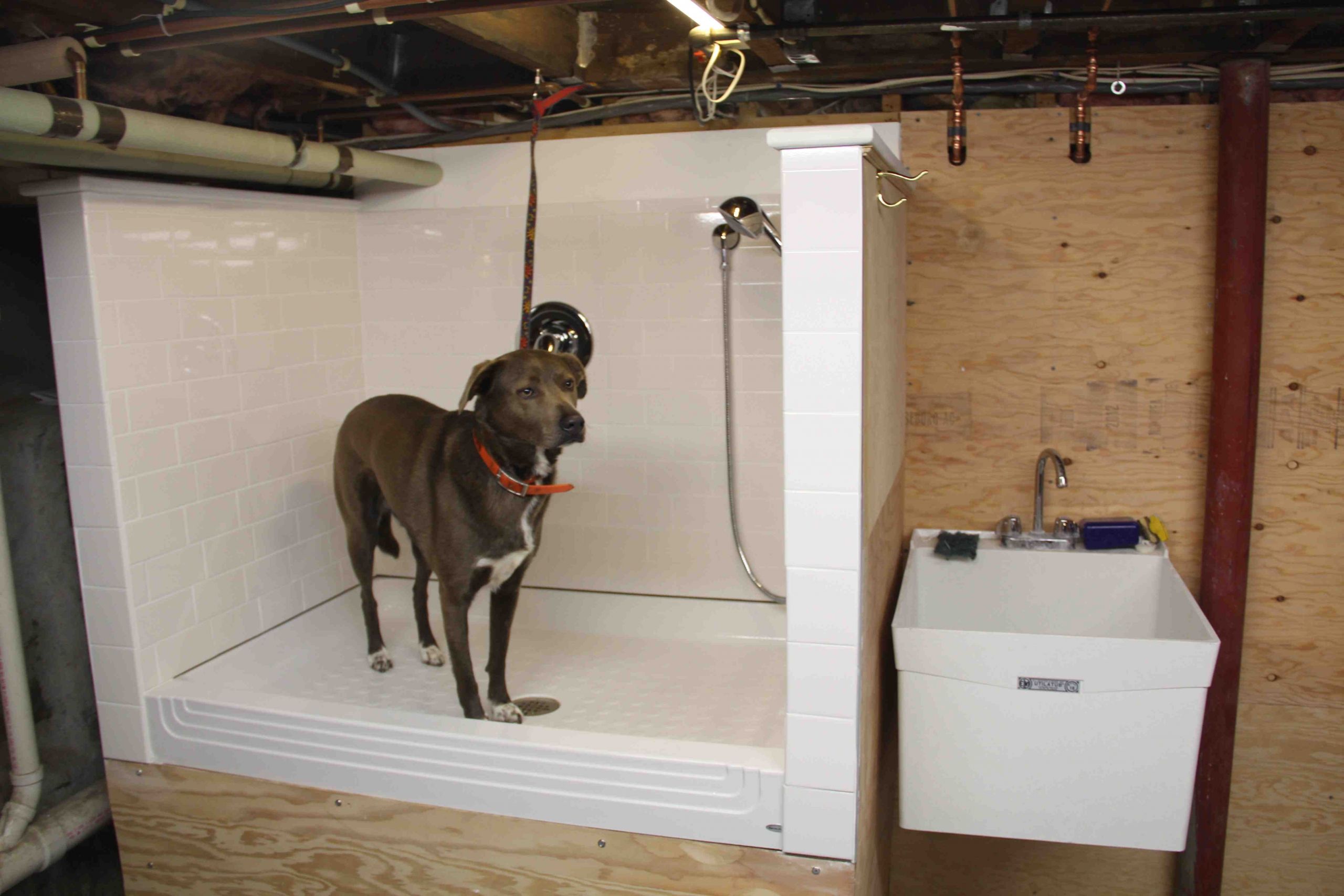 DIY Dog Bath Station
 How To Build A Dog Wash Station