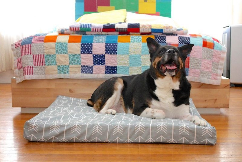 DIY Dog Bed Cover
 Building Your Own Do It Yourself Dog Bed – Top 3 Methods