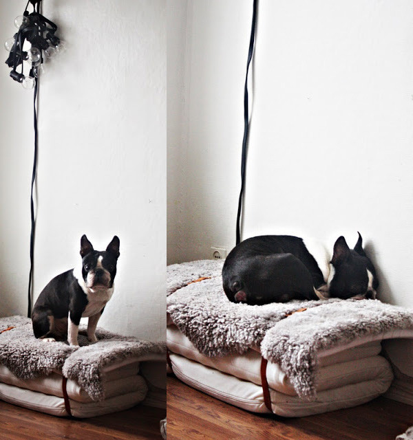 DIY Dog Bed Cover
 Cool DIY Dog Beds With a Fancy Twist