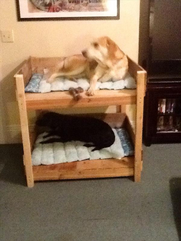 DIY Dog Bed Plans
 DIY Pet Bunk Bed Plans to Build Dog Bed