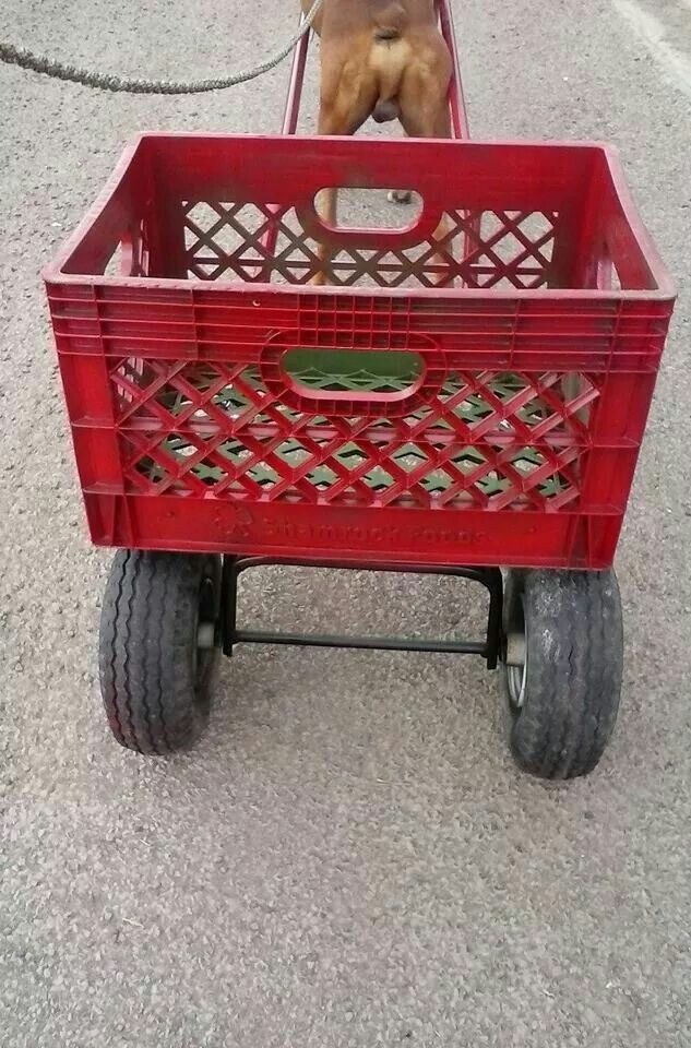 DIY Dog Cart
 Diy dog cart This is from recycled parts An old crate