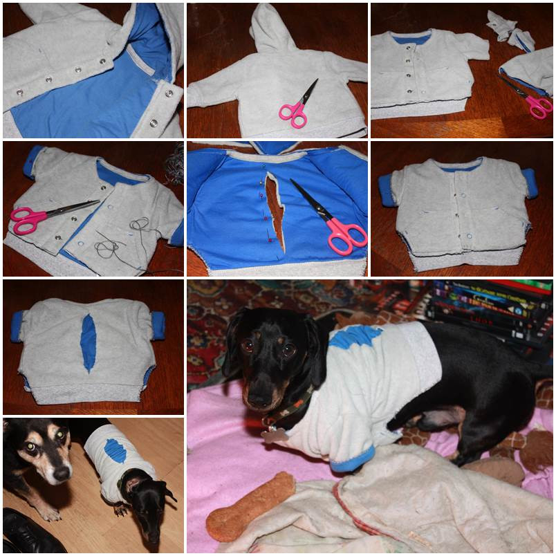 DIY Dog Clothes From Baby Clothes
 DIY Dog Coat with Dollar Store Materials