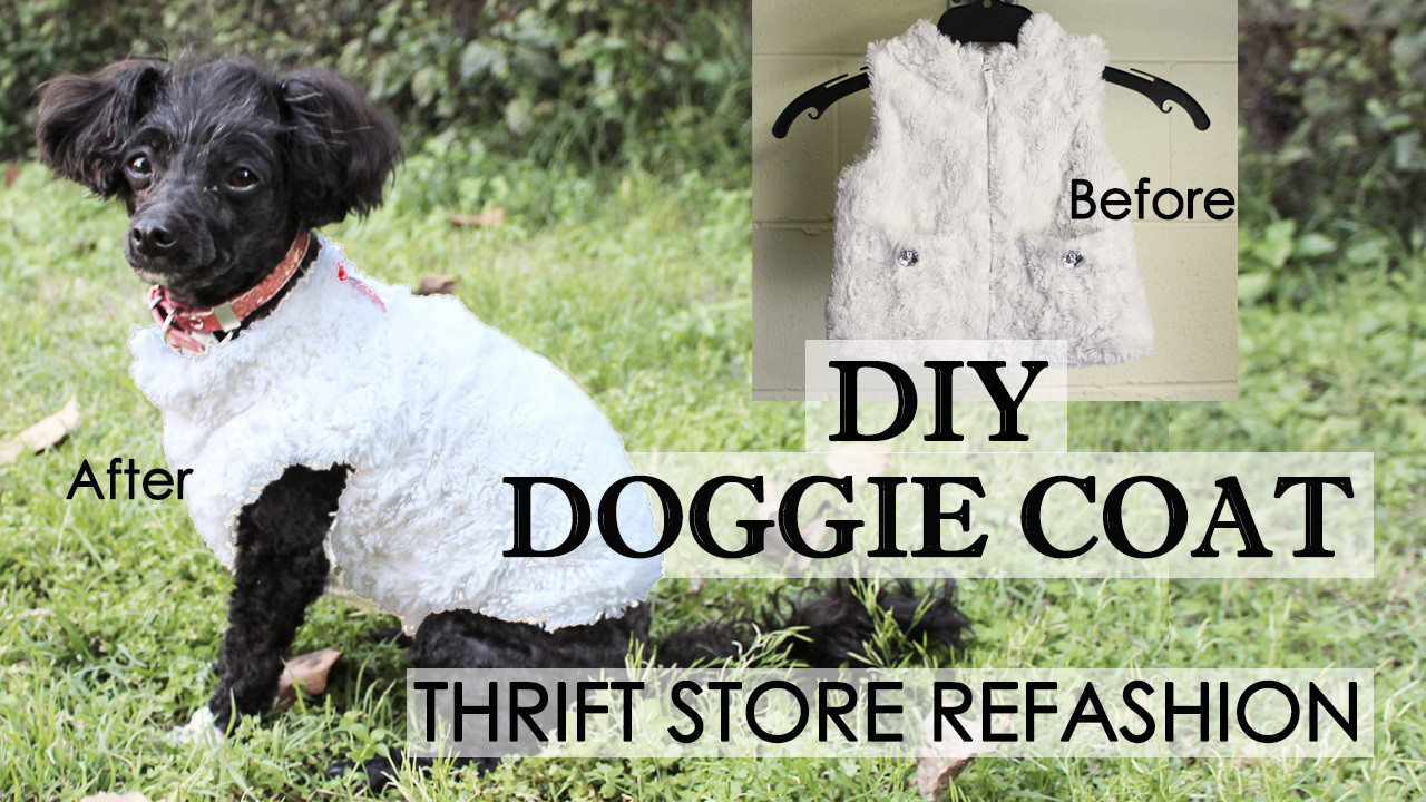 DIY Dog Clothes From Baby Clothes
 EASY DIY Dog Coat Refashion making cute dog clothes from
