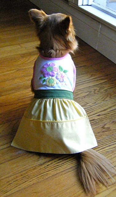 DIY Dog Clothes From Baby Clothes
 Make a Dog Dress From Recycled Baby Bib