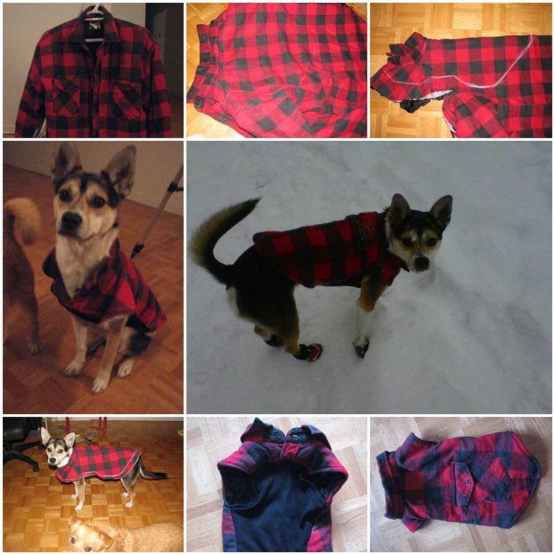 DIY Dog Clothes From Baby Clothes
 DIY Easy Dog Fleece Jacket