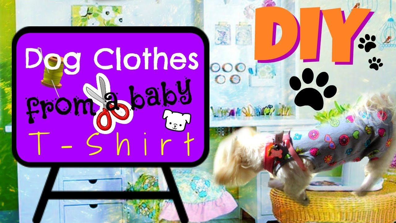 DIY Dog Clothes From Baby Clothes
 DIY🐶 Dog clothes from a baby T shirt Coton de tulear I