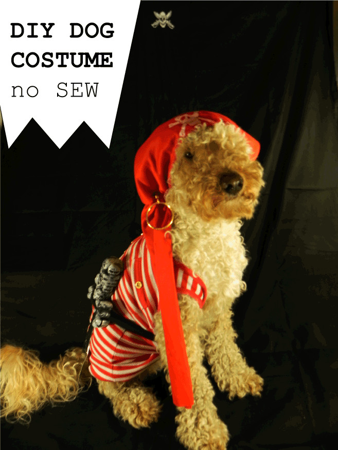 DIY Dog Costume
 DIY dog costume – No sew – luigi & me
