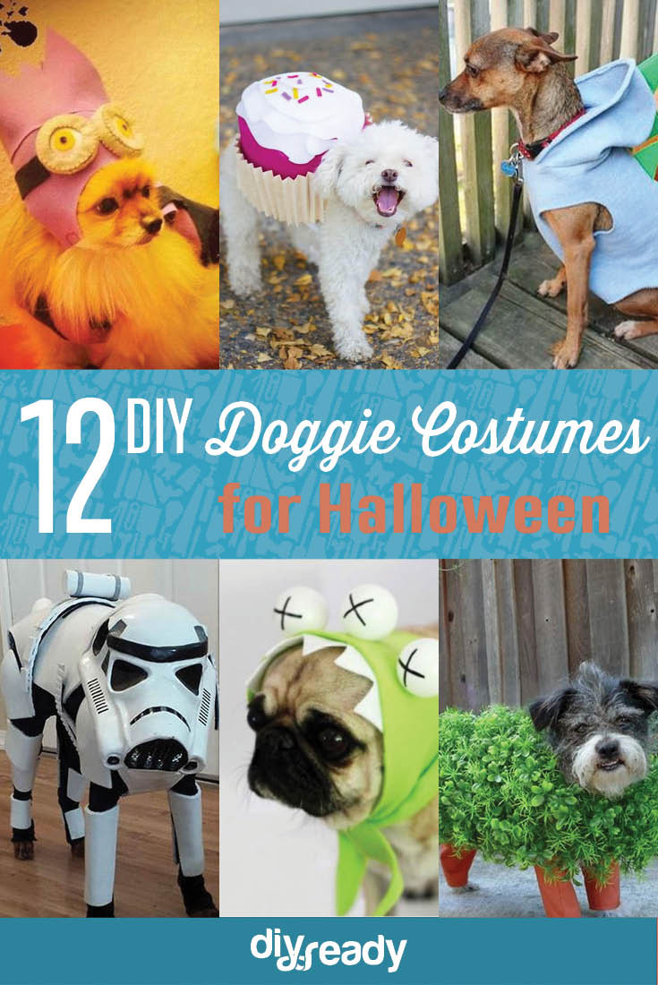 DIY Dog Costume
 DIY Dog Costume Ideas DIY Projects Craft Ideas & How To’s