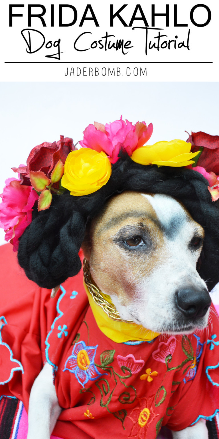 DIY Dog Costume
 32 Adorable Dog Costumes to DIY – Tip Junkie