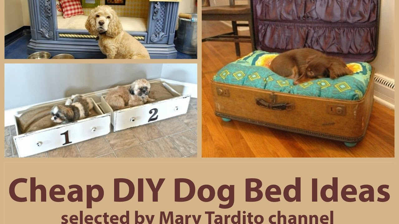 DIY Dog Cot
 Cheap DIY Dog Bed Ideas
