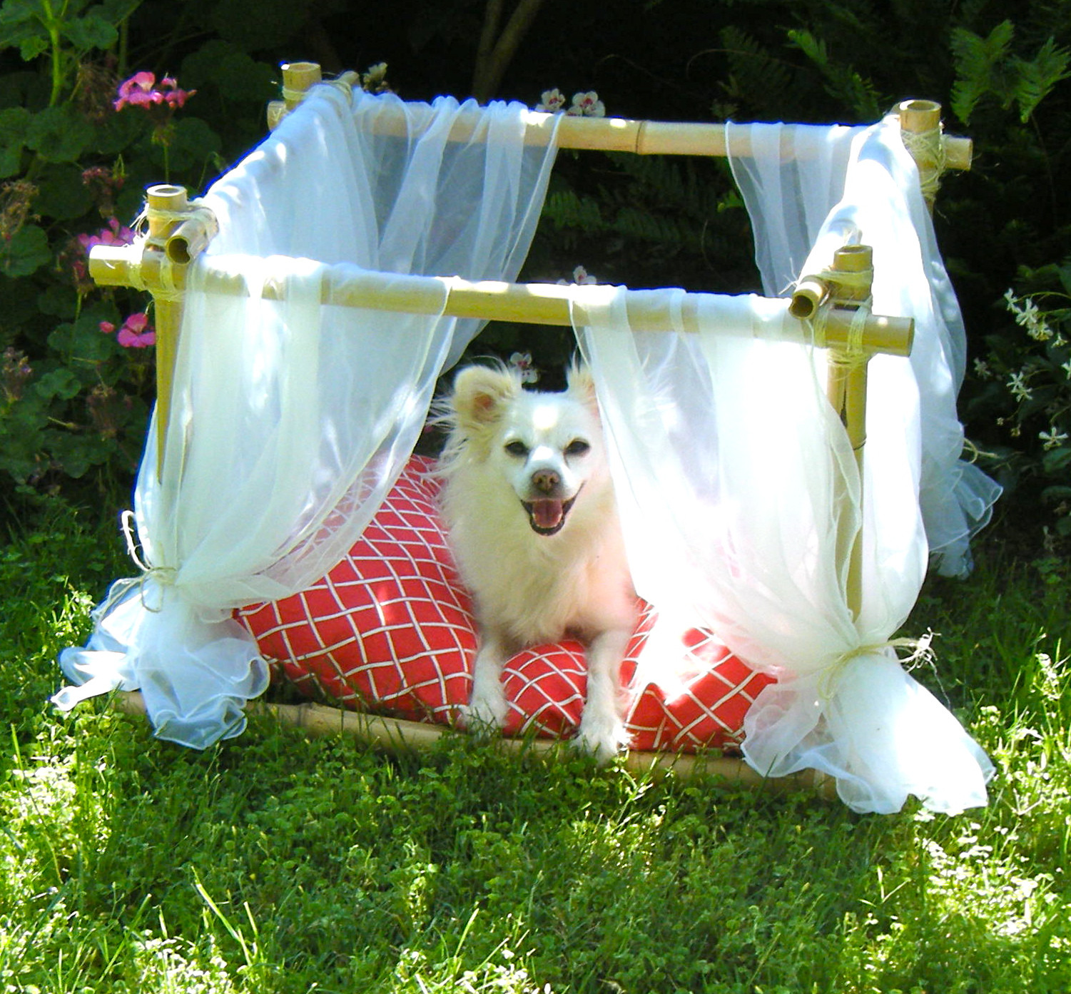 DIY Dog Cot
 Sew DoggyStyle DIY Dog Bed Bamboo Frame