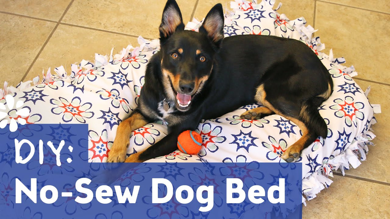 DIY Dog Cot
 DIY No Sew Dog Pet Bed