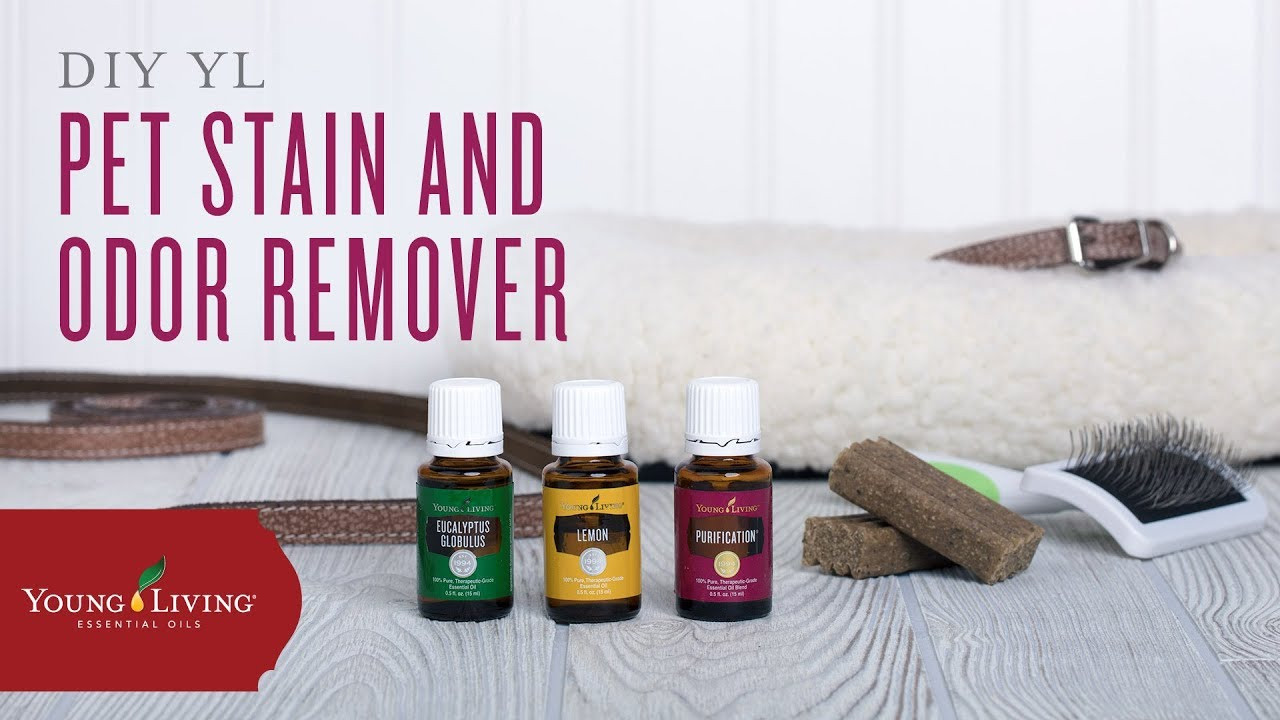 young living room deodorizer