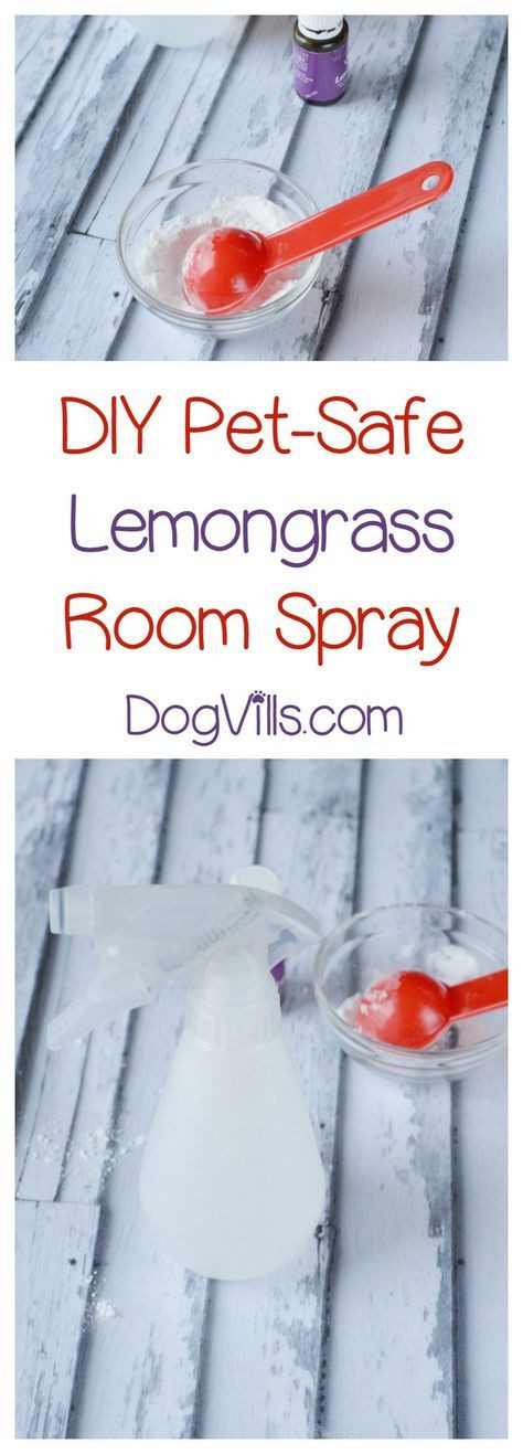 DIY Dog Deodorizer
 DIY Pet Safe Essential Oil Deodorizer Spray Recipe for an