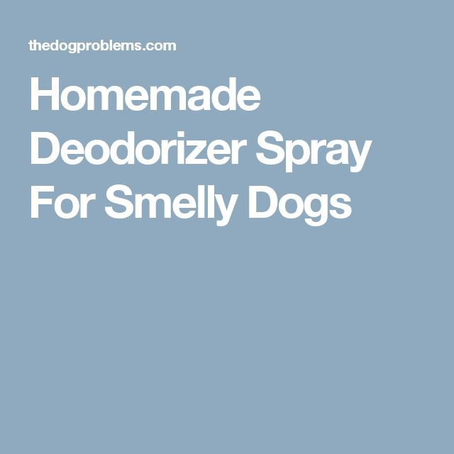 DIY Dog Deodorizing Spray
 Homemade Deodorizer Spray For Smelly Dogs