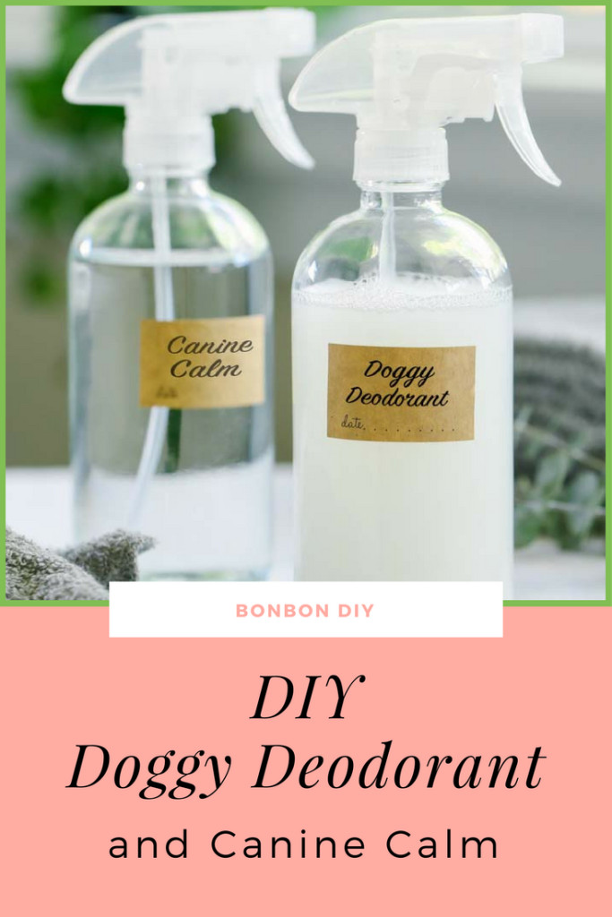 DIY Dog Deodorizing Spray
 DIY Dog Odor spray deodorant canine calm 2