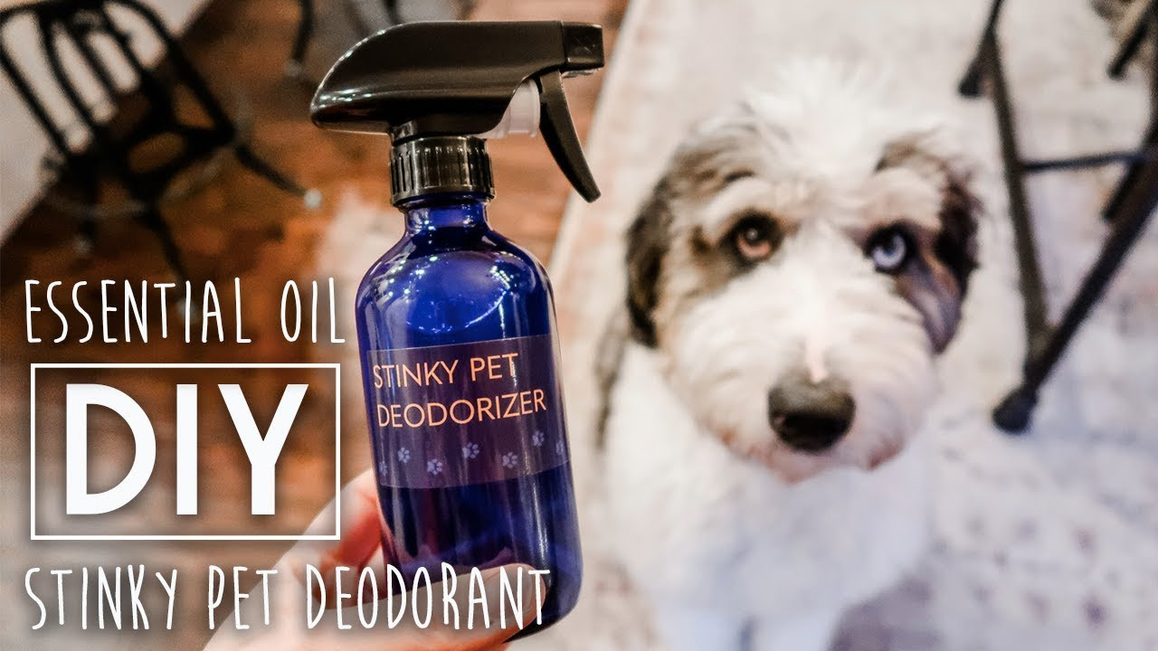 DIY Dog Deodorizing Spray
 DIY Stinky Pet Deodorizer Spray