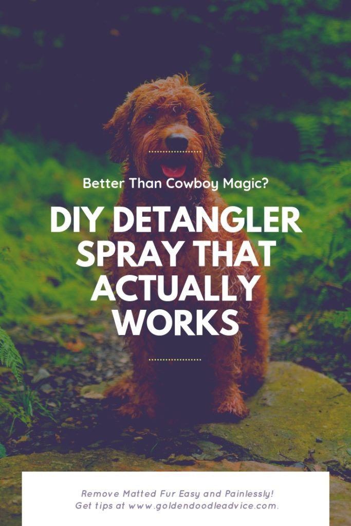 DIY Dog Detangler
 Better Than Cowboy Magic DIY Detangler Spray in 2020