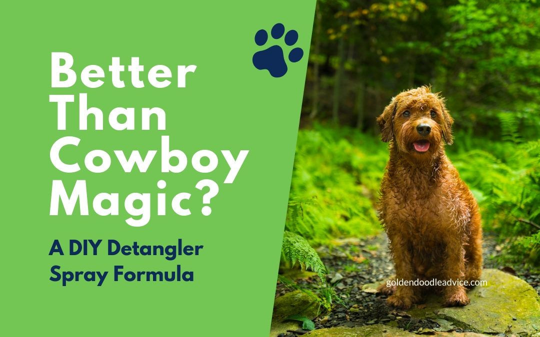 DIY Dog Detangler
 Better Than Cowboy Magic A DIY Detangler Spray That